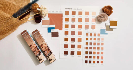 摩卡慕斯:情感与文化交织的2025年度色彩趋势解析